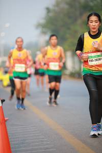 BIB: 
                            <button type="button" onclick="openModal(9013568)" class="btn btn-primary btn-sm float-right btn-popup" data-toggle="modal" data-target=".modal-high-quality">
                        <i class="fas fa-shopping-cart"></i> Add to Cart
                    </button>
                                            <button type="button" onclick="isThisMe(9013568, true)" class="btn btn-success btn-sm float-right btn-popup btn-isme hidden" data-toggle="tooltip" data-placement="bottom" title="นี่คือรูปของคุณใช่ไหม คลิกที่นี่เพื่อเอาเข้าอัลบั้ม">
                        <i class="fas fa-plus"></i> Add to album
                    </button>
                    <button type="button" onclick="isThisMe(9013568, false)" class="btn btn-warning btn-sm float-right btn-popup btn-isnotme hidden">
                        <i class="fas fa-ban"></i> Remove from album
                    </button>